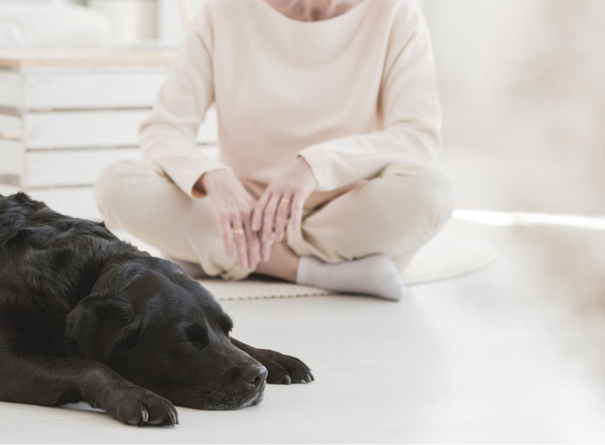 Person sitting on the ground with a dog